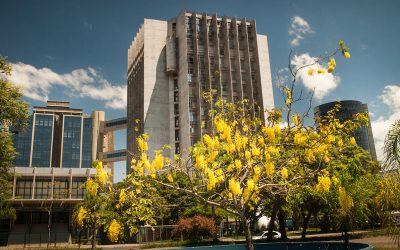 Sindalesc obtém vitória e conquista liminar para servidores da 1ª turma