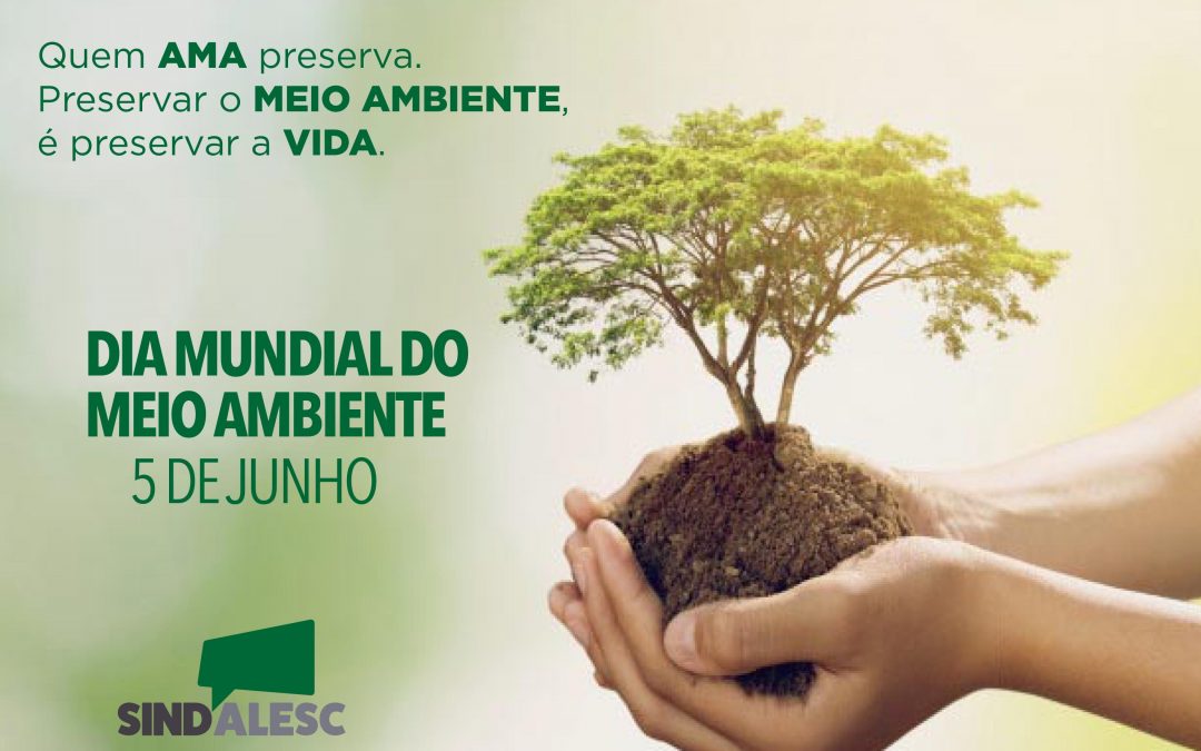 Dia Mundial do Meio Ambiente 2021: a necessidade e a urgência da