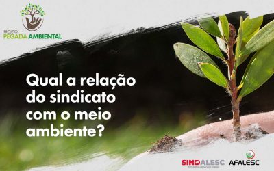Qual a relação do sindicato com o meio ambiente?