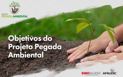 Objetivos do Projeto Pegada Ambiental