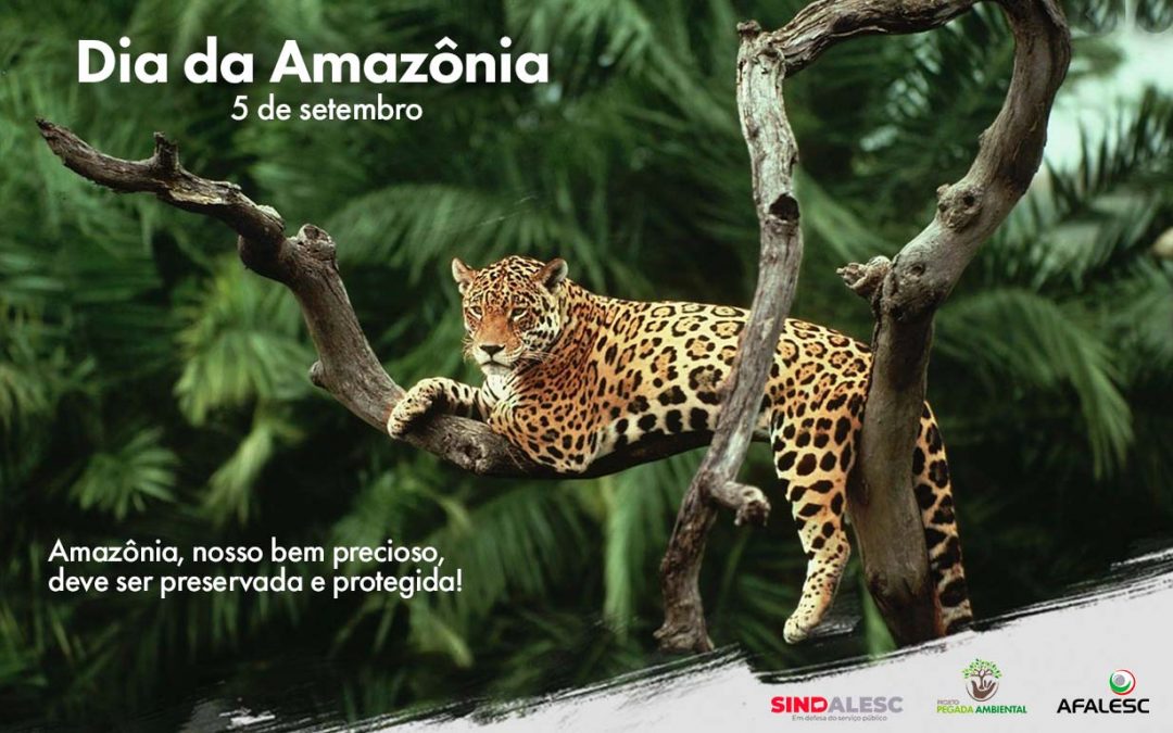 Dia da Amazônia  – 5 de setembro