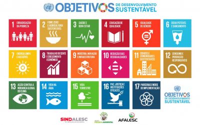 O desenvolvimento sustentável só é possível com a adesão de toda a sociedade.