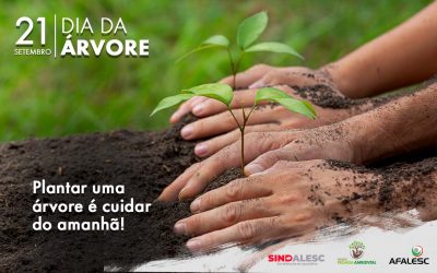 No Dia da Árvore Sindalesc lança Projeto Pegada Ambiental