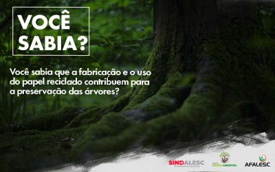 Você sabia que a fabricação e o uso do papel reciclado contribuem para a preservação das árvores?