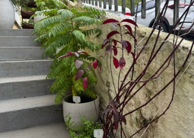 IMG-20250611-WA0027