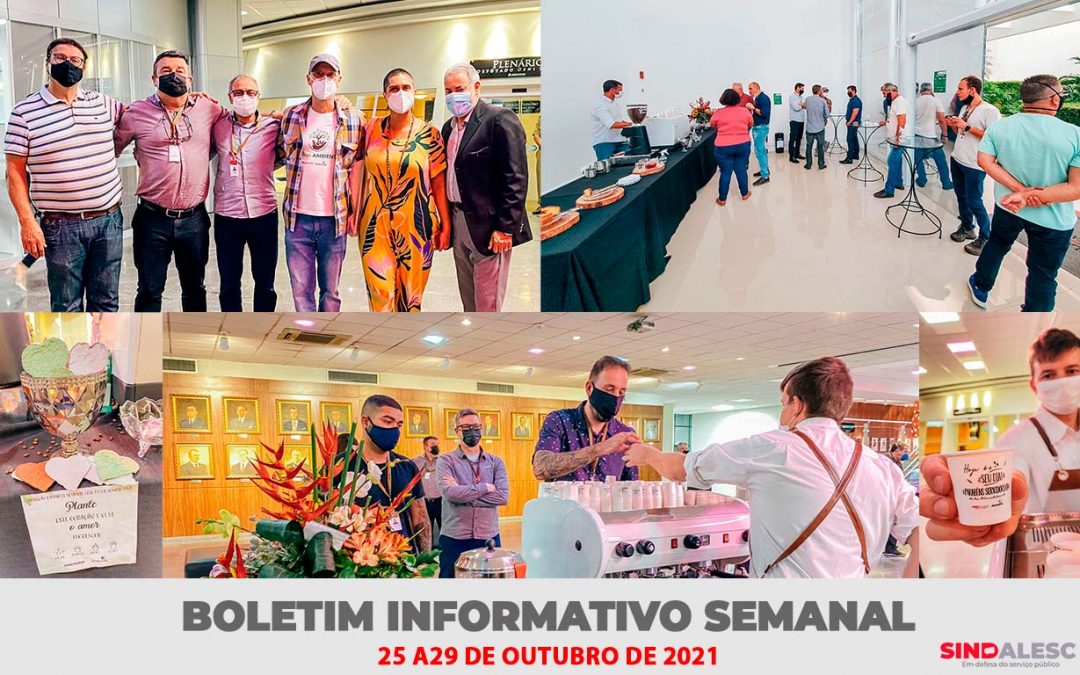 Boletim Informativo Semanal (25 a 29/10)