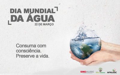 A água é fundamental para a manutenção de todos os ecossistemas no planeta.