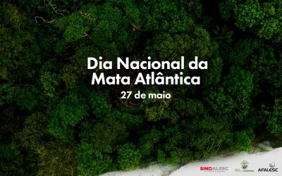 Dia Nacional da Mata Atlântica