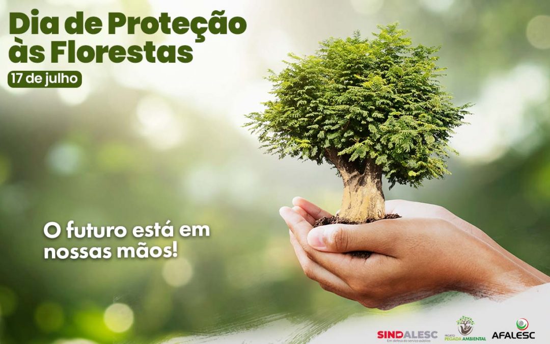 Dia de Proteção às Florestas