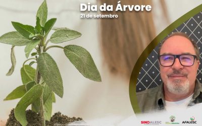 Dia da Árvore – 21 de setembro