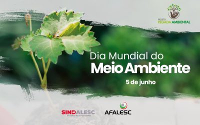 Dia Mundial do Meio Ambiente