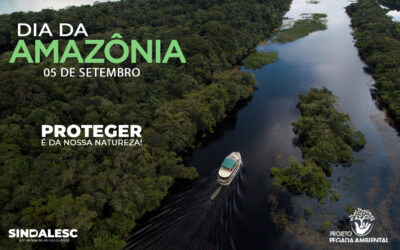 Dia da Amazônia