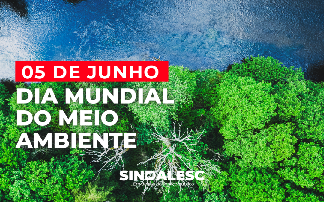 Dia mundial do Meio Ambiente