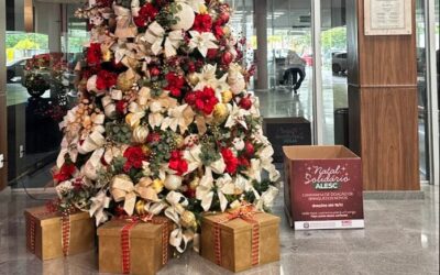 Natal Solidário ALESC & SINDALESC já começou!