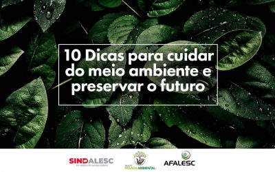 10 Dicas para cuidar do meio ambiente e preservar o futuro 🌳