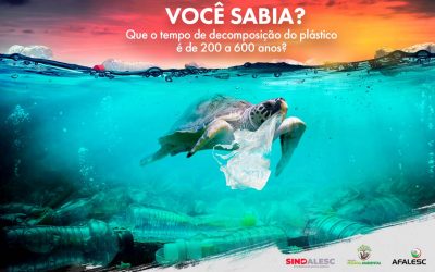 VOCÊ SABIA?