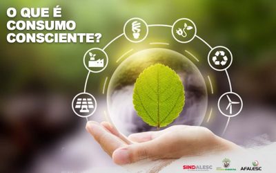 O que é consumo consciente?
