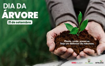 Dia da Árvore